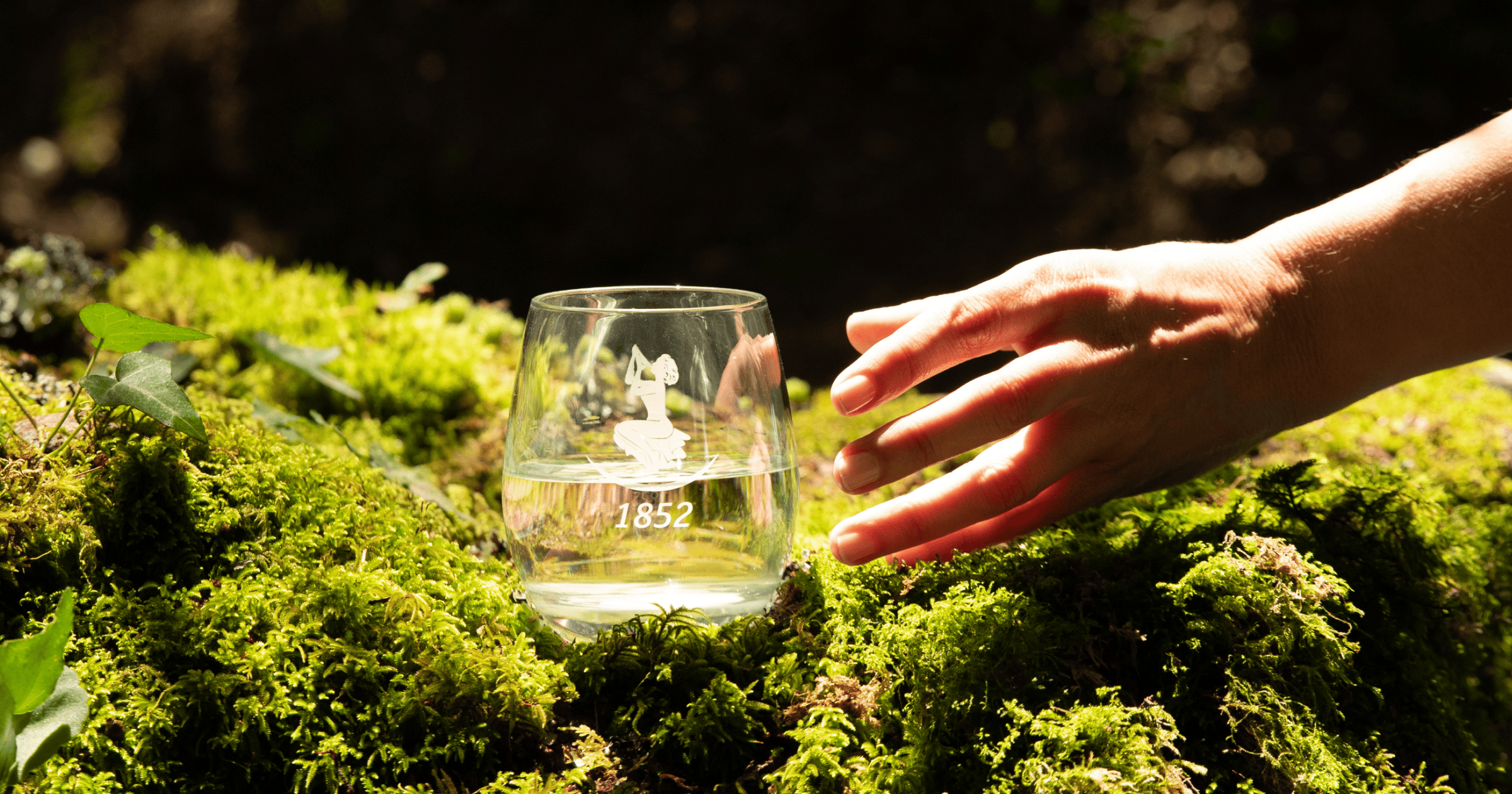 Hero Blog Luso 1200X630