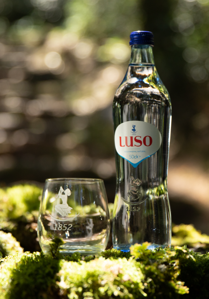 Agua Luso Homepage