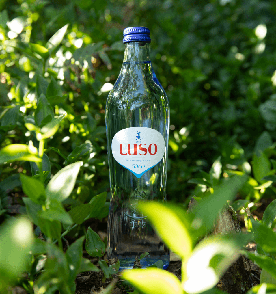 Jornada de Sustentabilidade Ambiental na Água de Luso