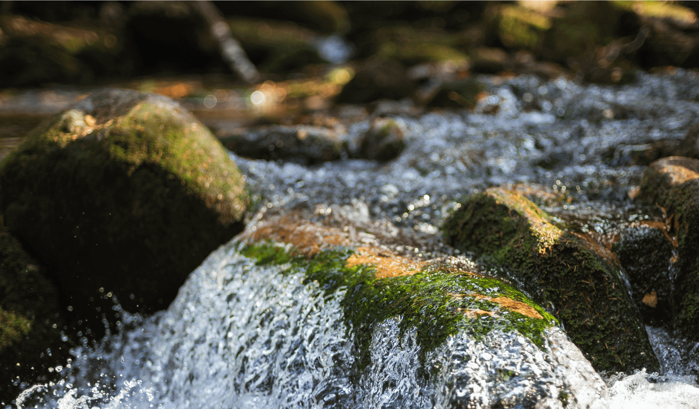 Água de Luso e sustentabilidade ambiental